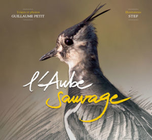 Couverture L